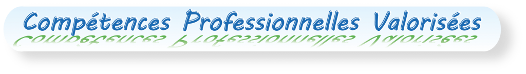 Compétences-Professionnelles-Valorisées-slogan-ensembleformation.com